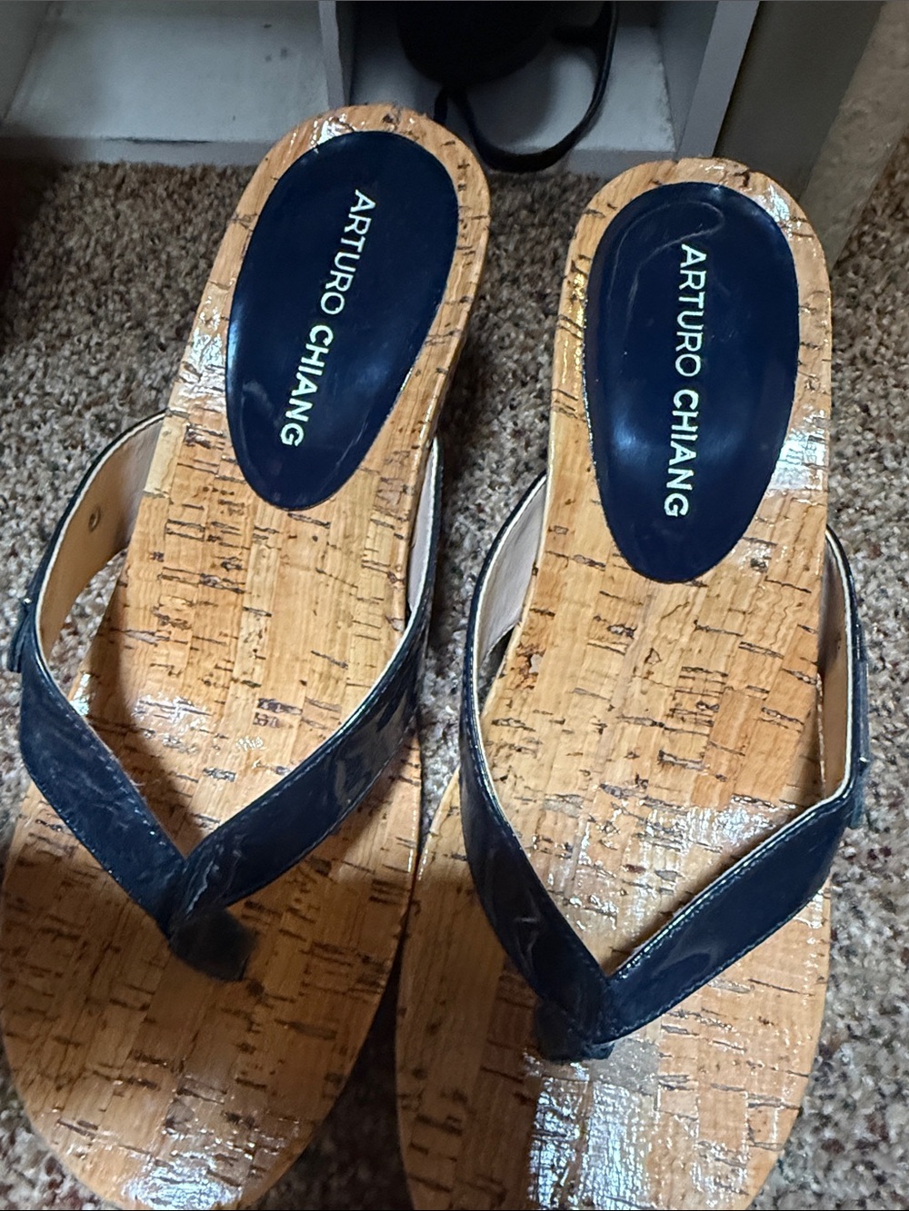 Arturo Chiang Navy Cork Platform Thong Sandals
